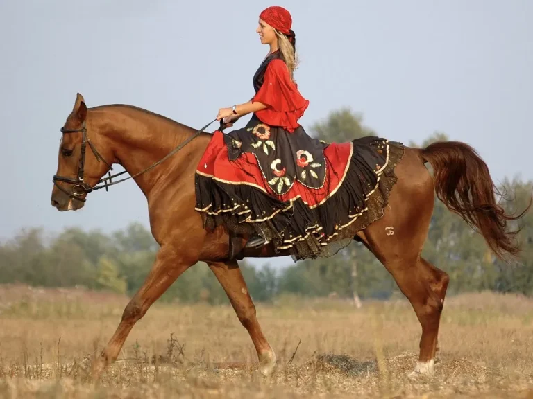 אַיֵּה הָאִשָּׁה אֲשֶׁר עַל־הַסּוּס?