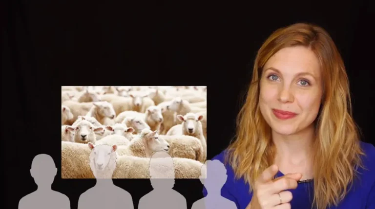 זֶה צֹאנְכֶם