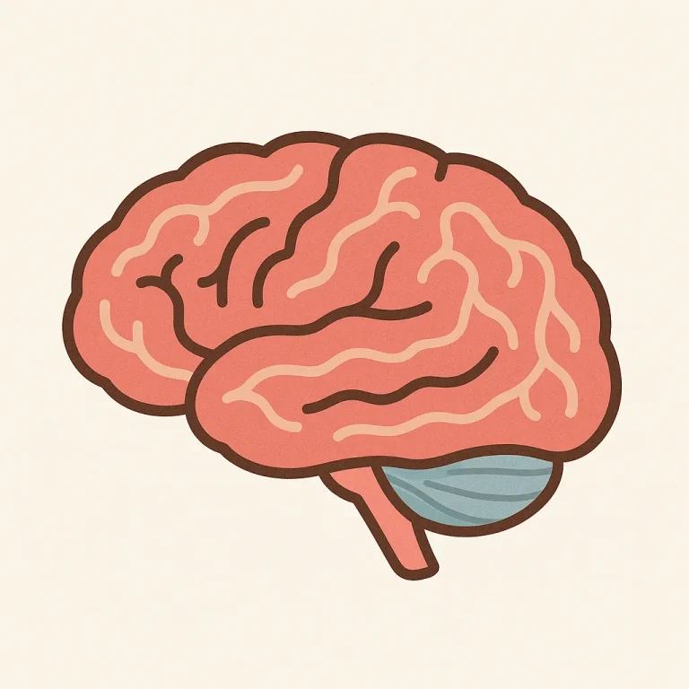 brain