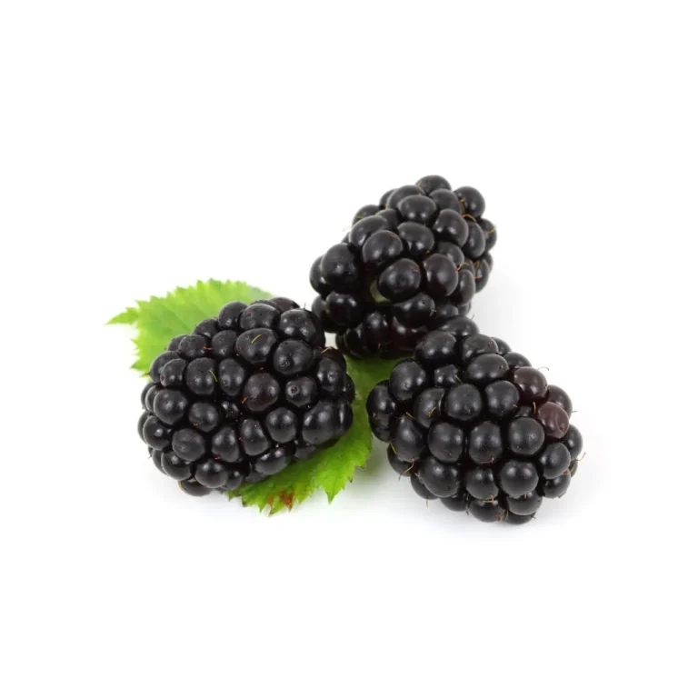 berries