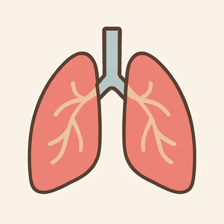 lungs
